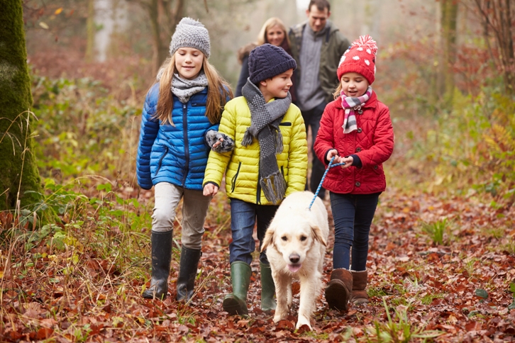 Family walking through the woods Ophthalmology jobs Online